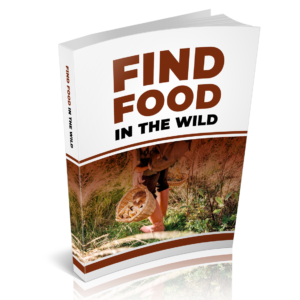 Find Food in the Wild | Wilderness Survival Guide