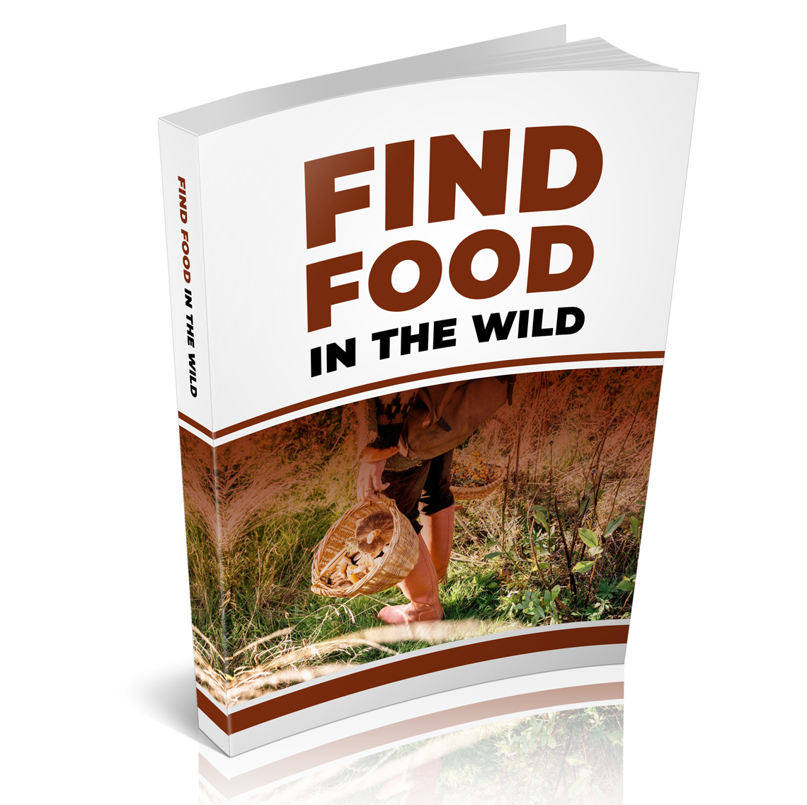 Find Food in the Wild | Wilderness Survival Guide