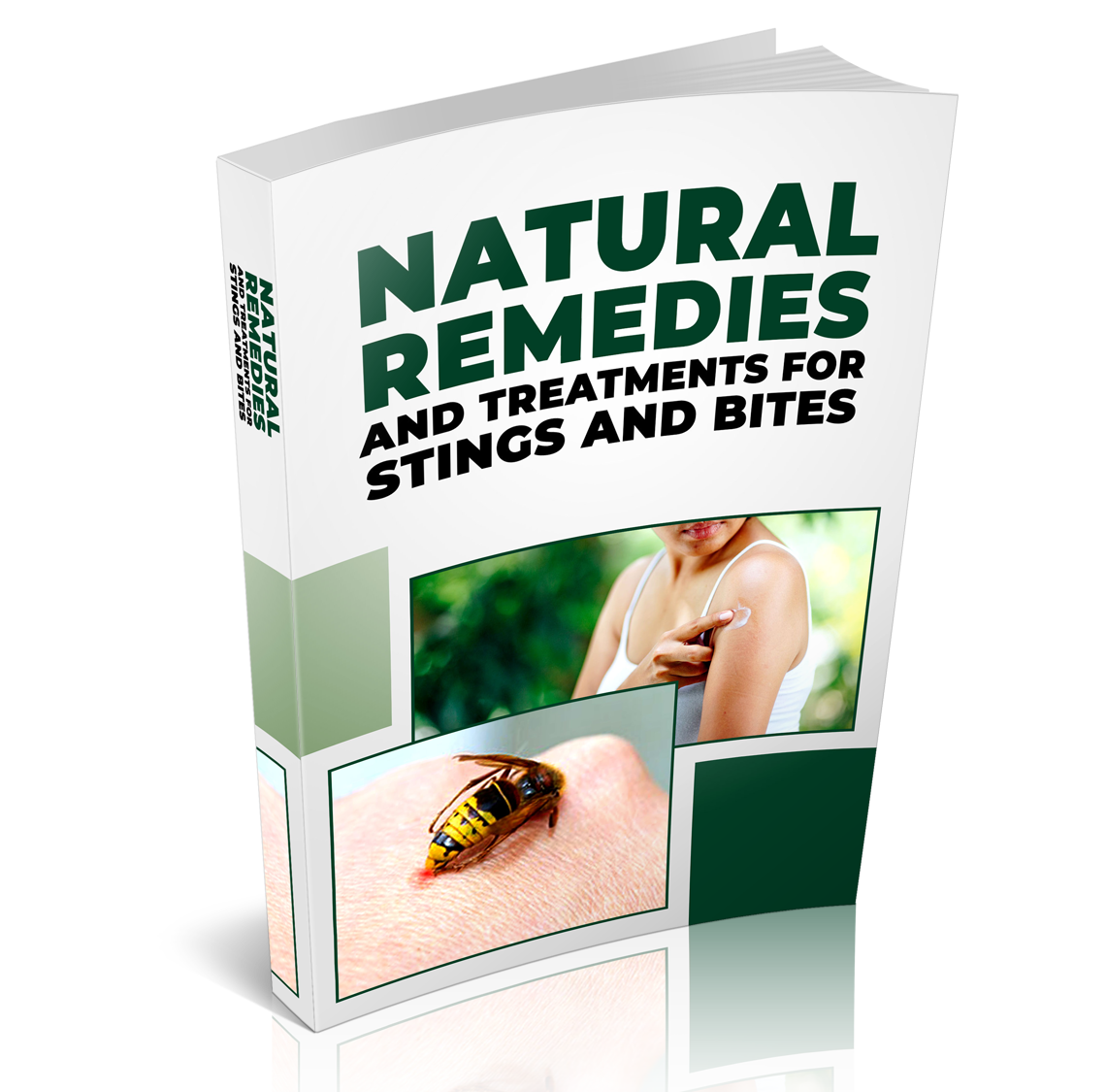 Natural Remedies for Insect Stings and Bites