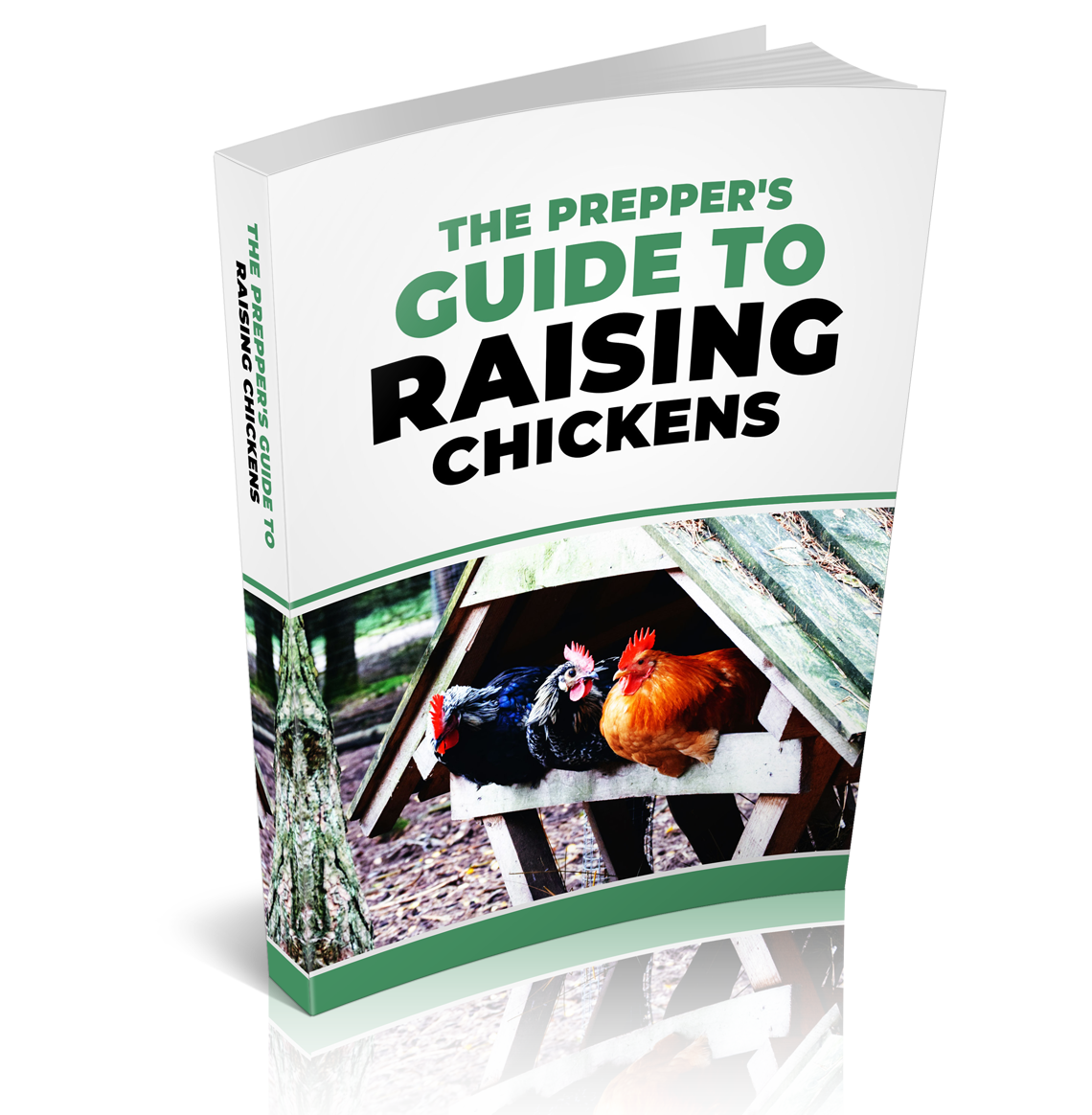The Prepper’s Guide to Raising Chickens for Survival