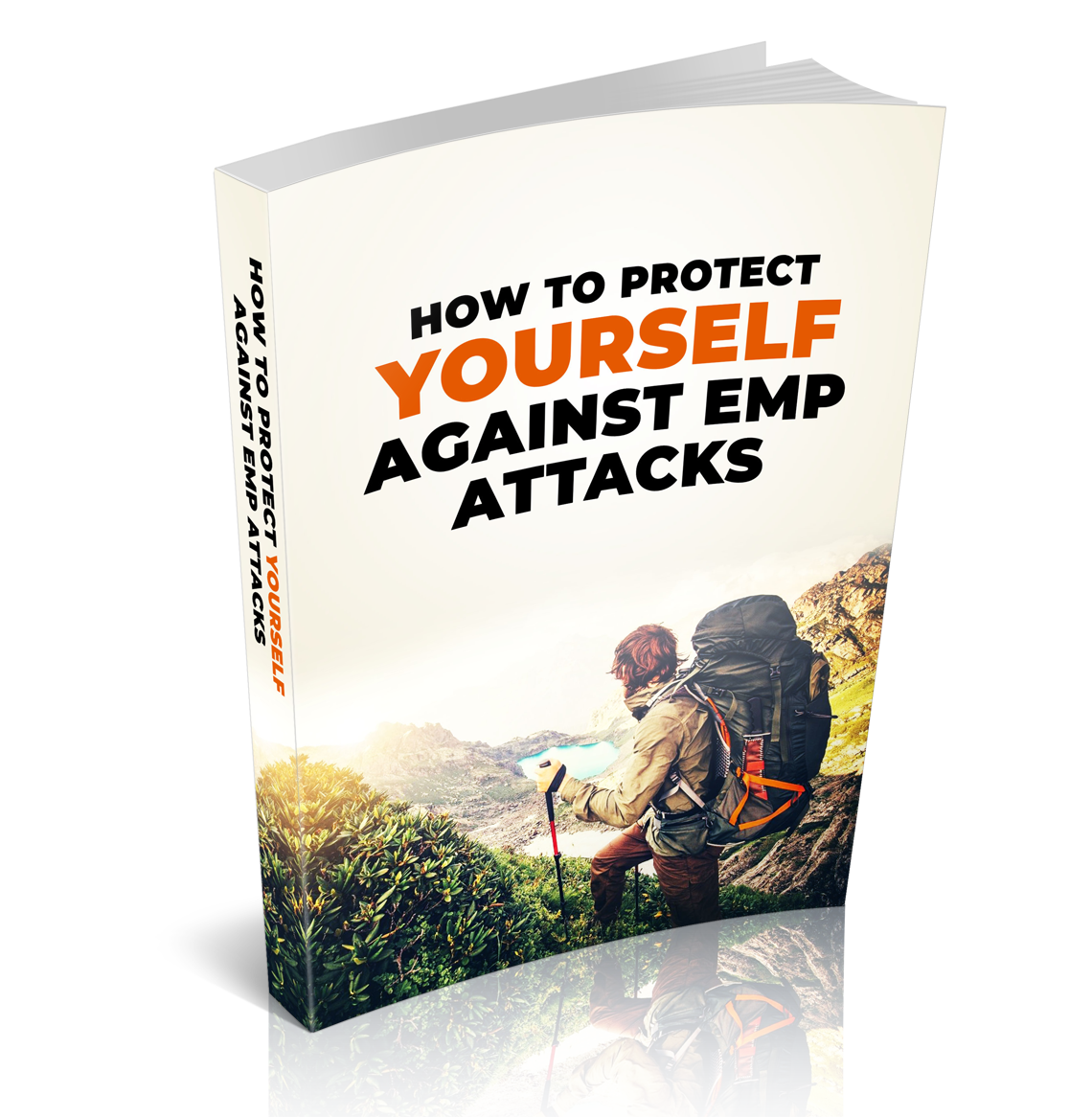 How to Protect Yourself from EMP Attacks | Survival Guide