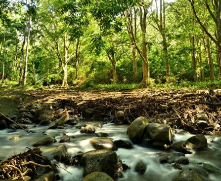 Off-Grid Water Sources Preppers Can Rely On