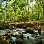 Preppers Basics: How to Start Prepping from Zero
